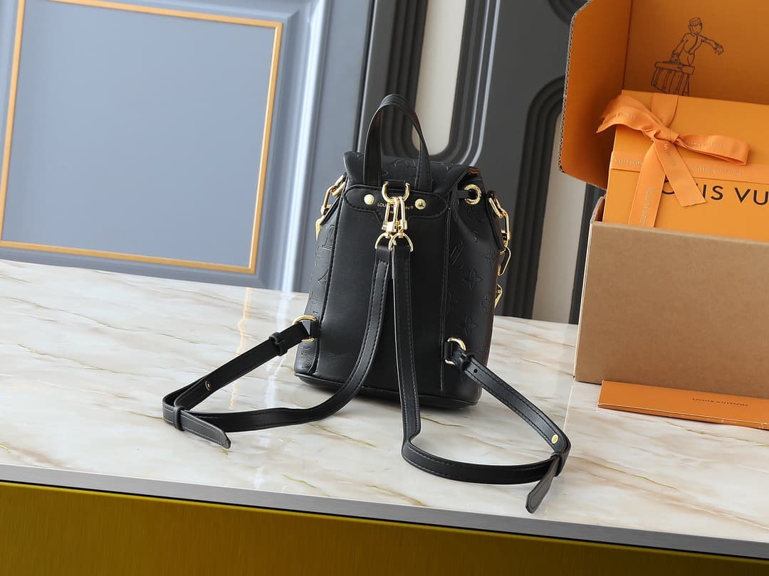 LV Backpack (DM For Price)