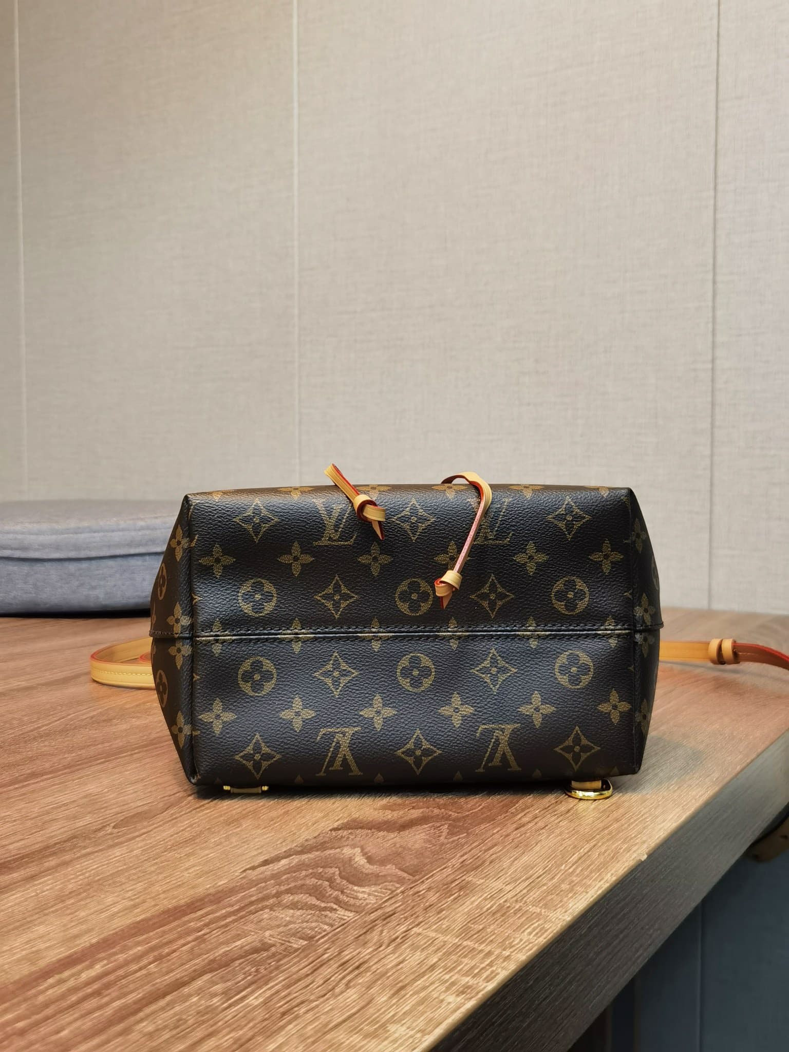 LV Backpack M45501(DM For Price)