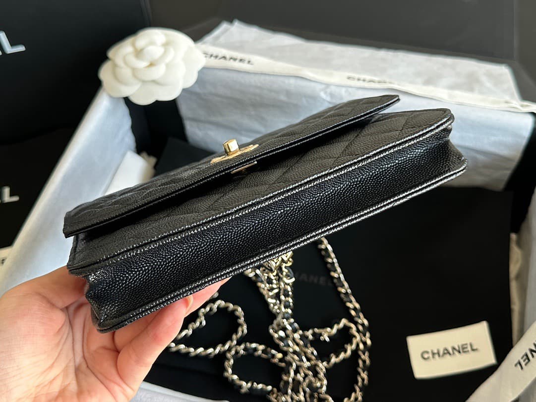 Chanel Backpack 25C(DM For Price)