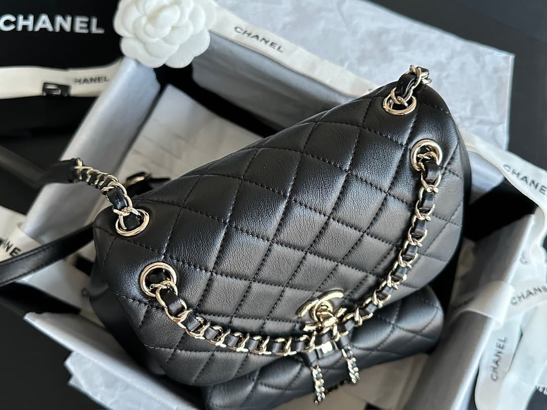 Chanel Backpack 24p Duma L(DM For Price)