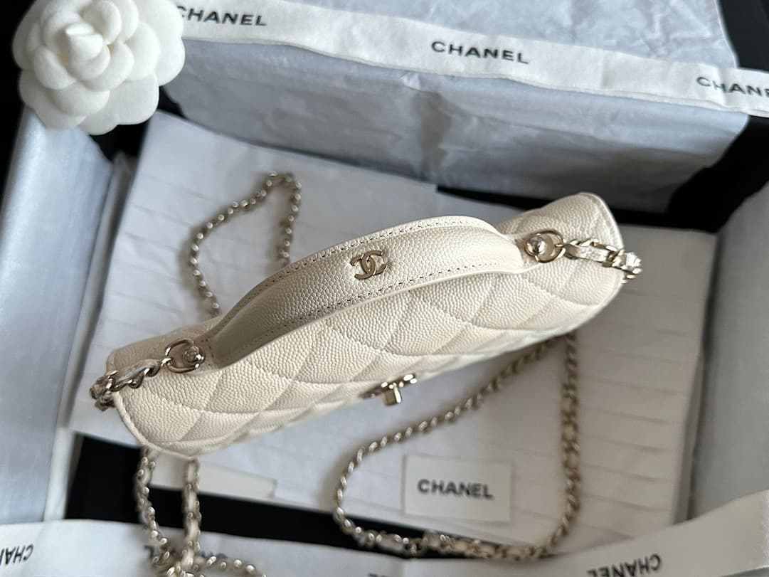 Chanel Backpack 25c(DM For Price)