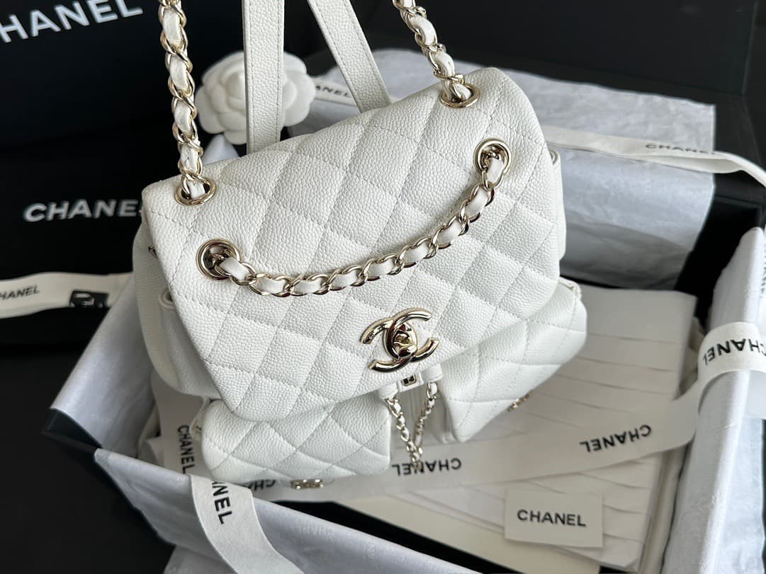 Chanel Backpack 24A Duma L(DM For Price)