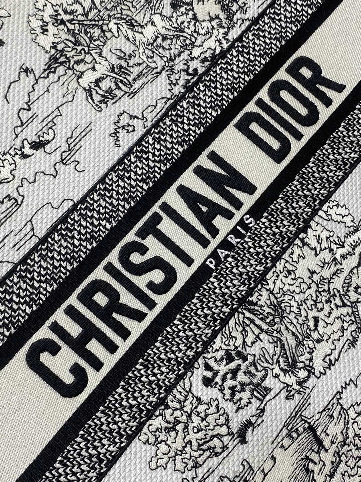 Dior Tote HandBag
