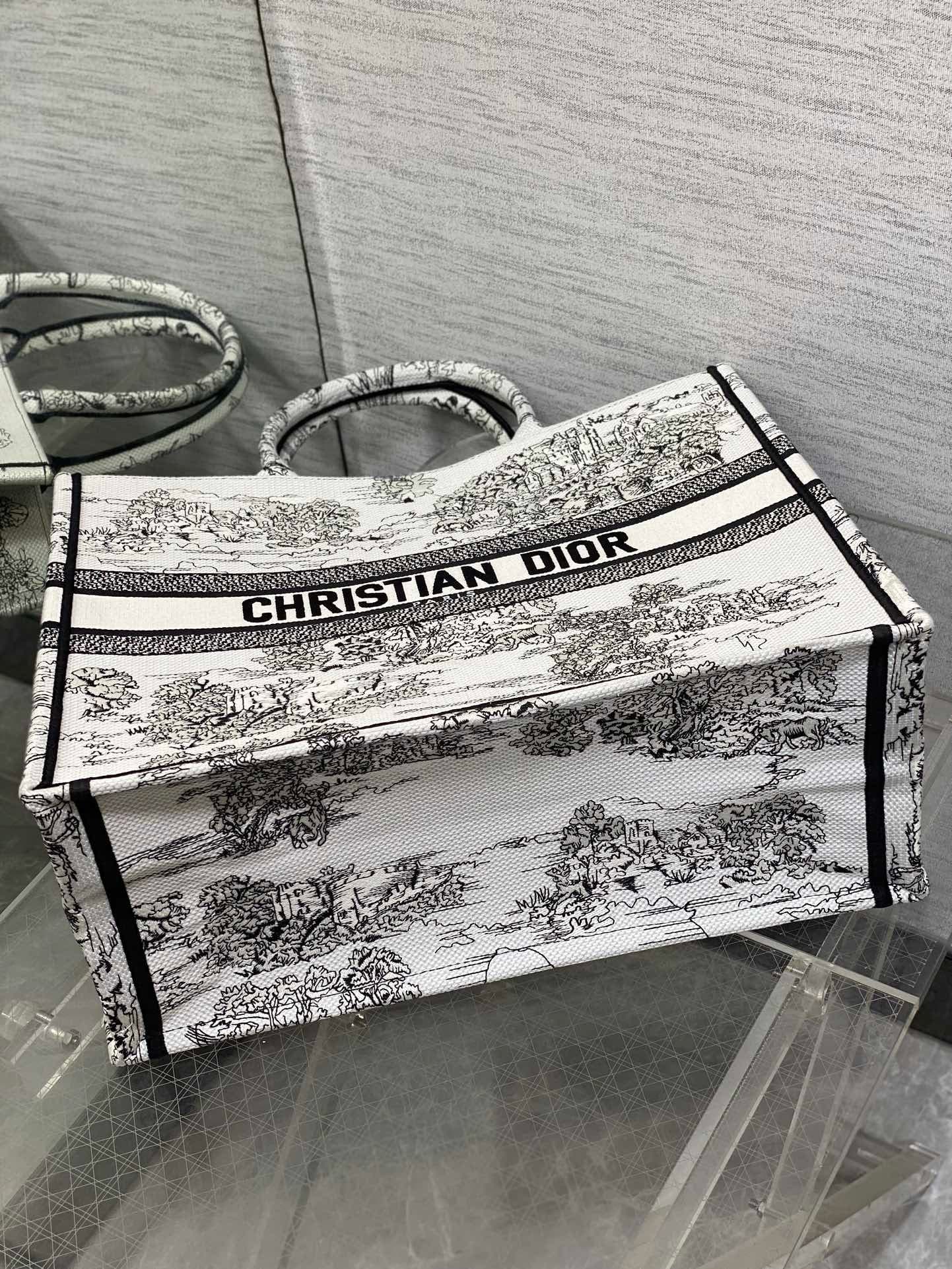 Dior Tote HandBag