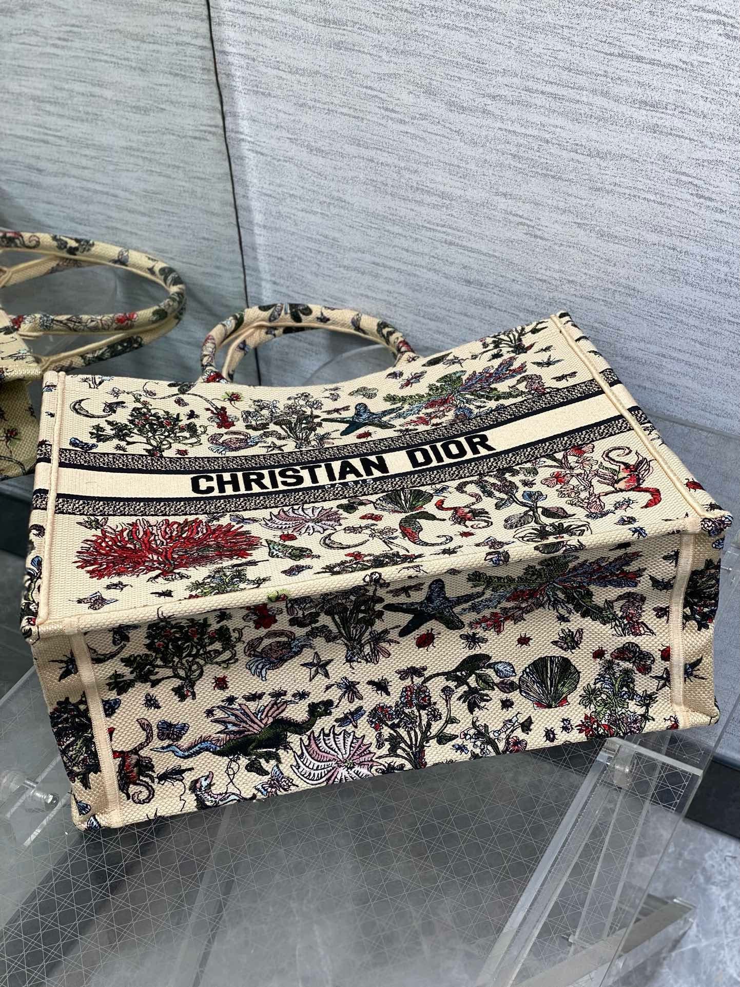 Dior Tote HandBag