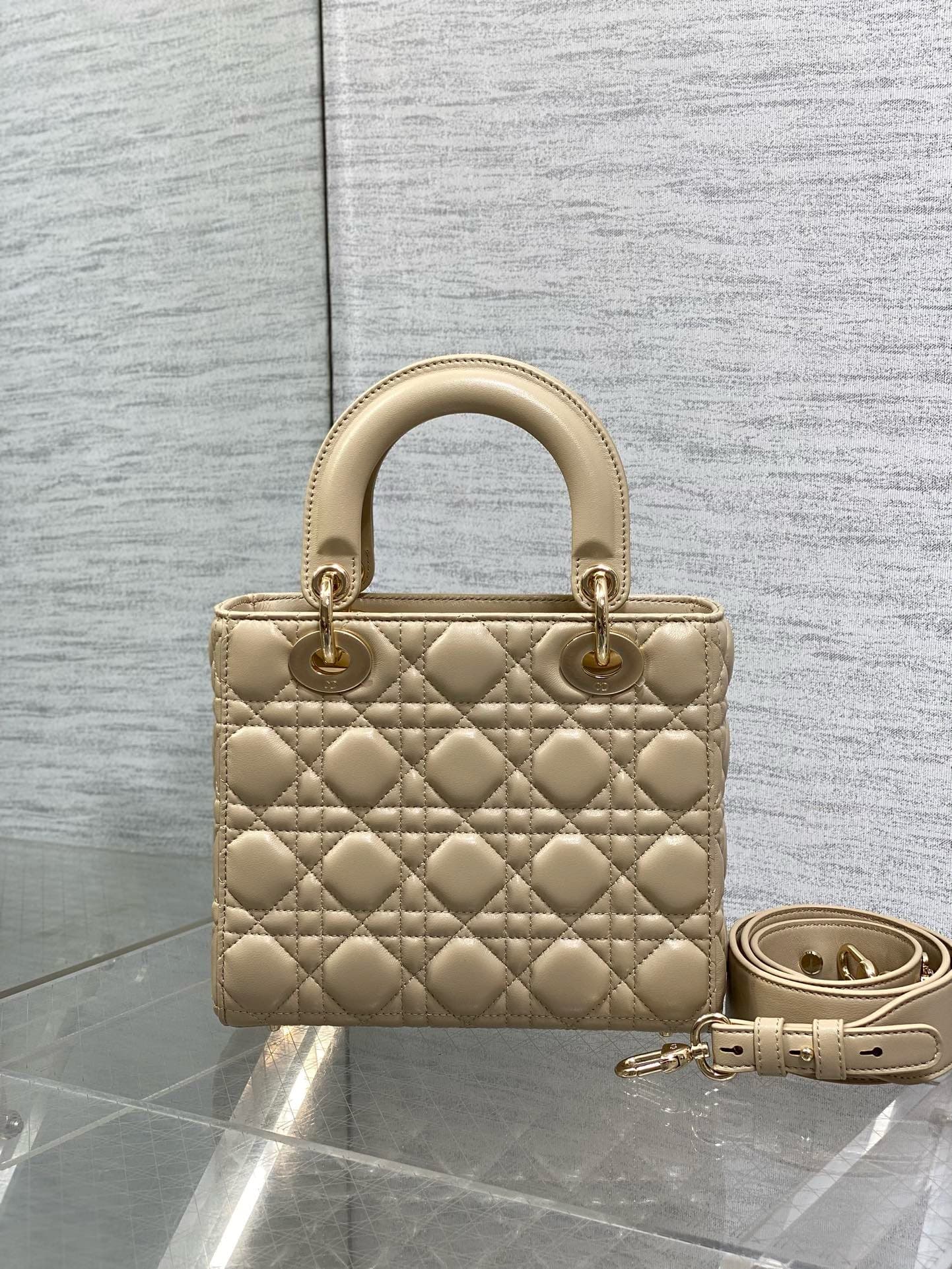 Dior Lady HandBag