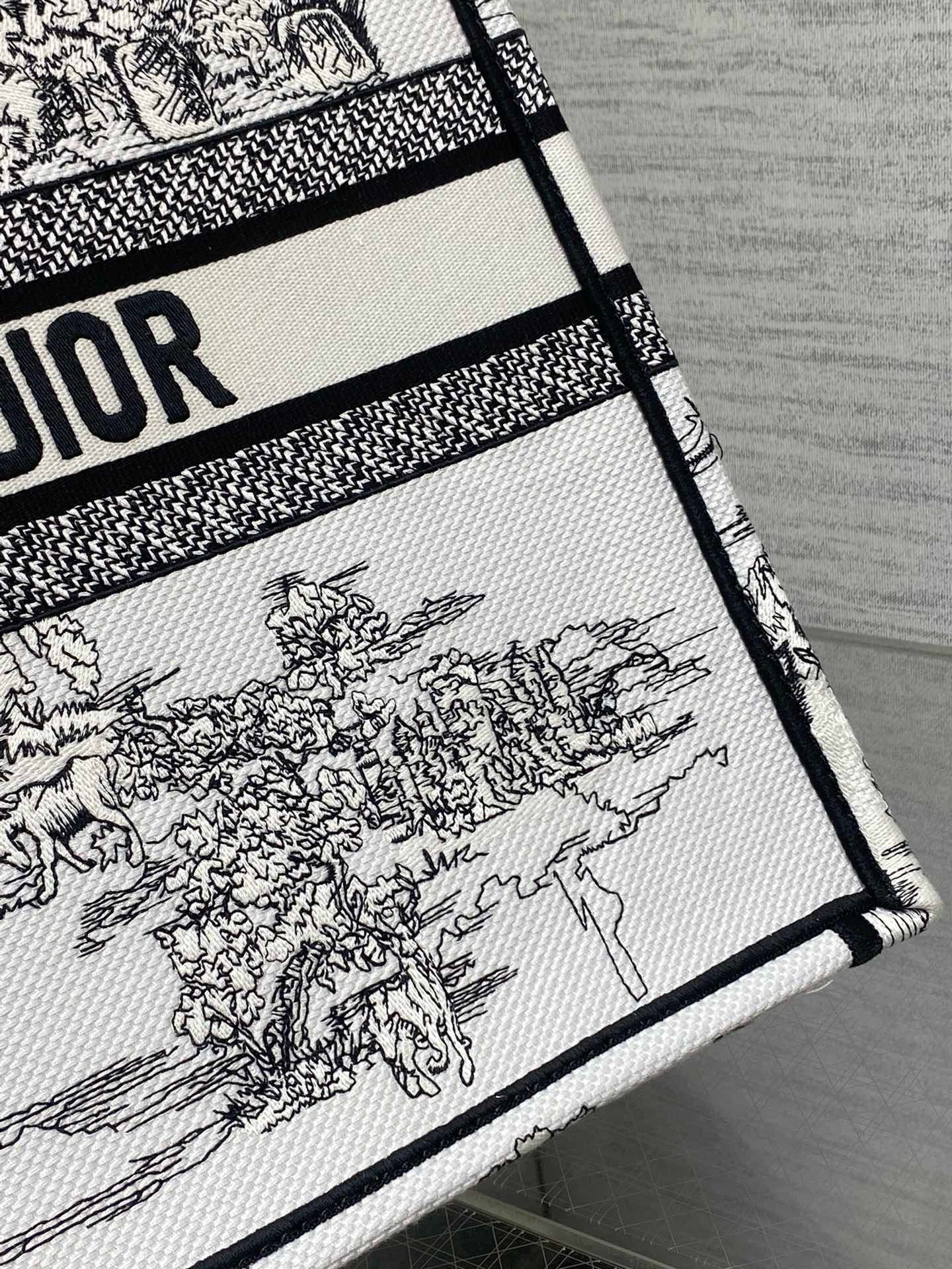 Dior Tote HandBag
