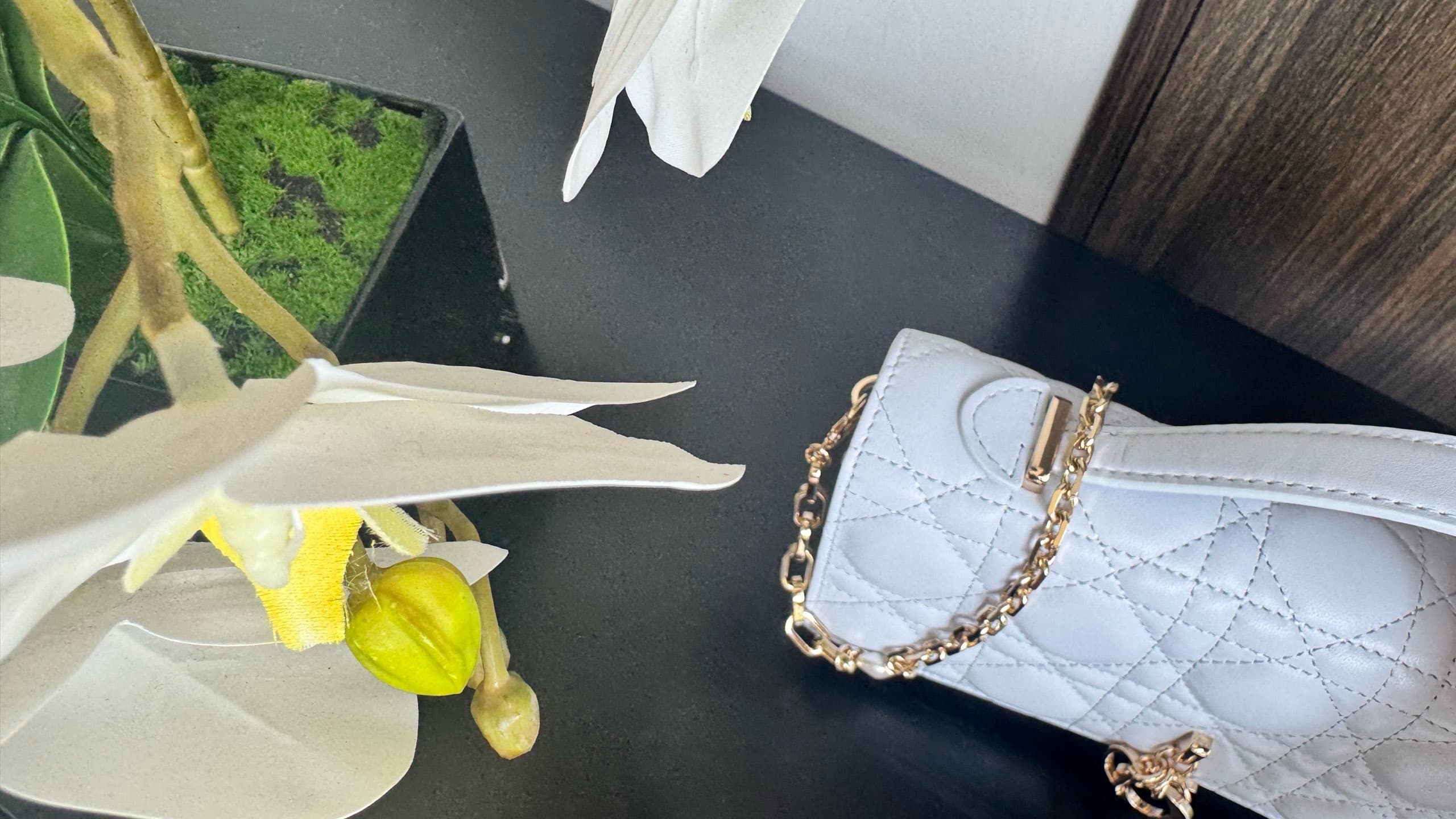 Dior Lady HandBag