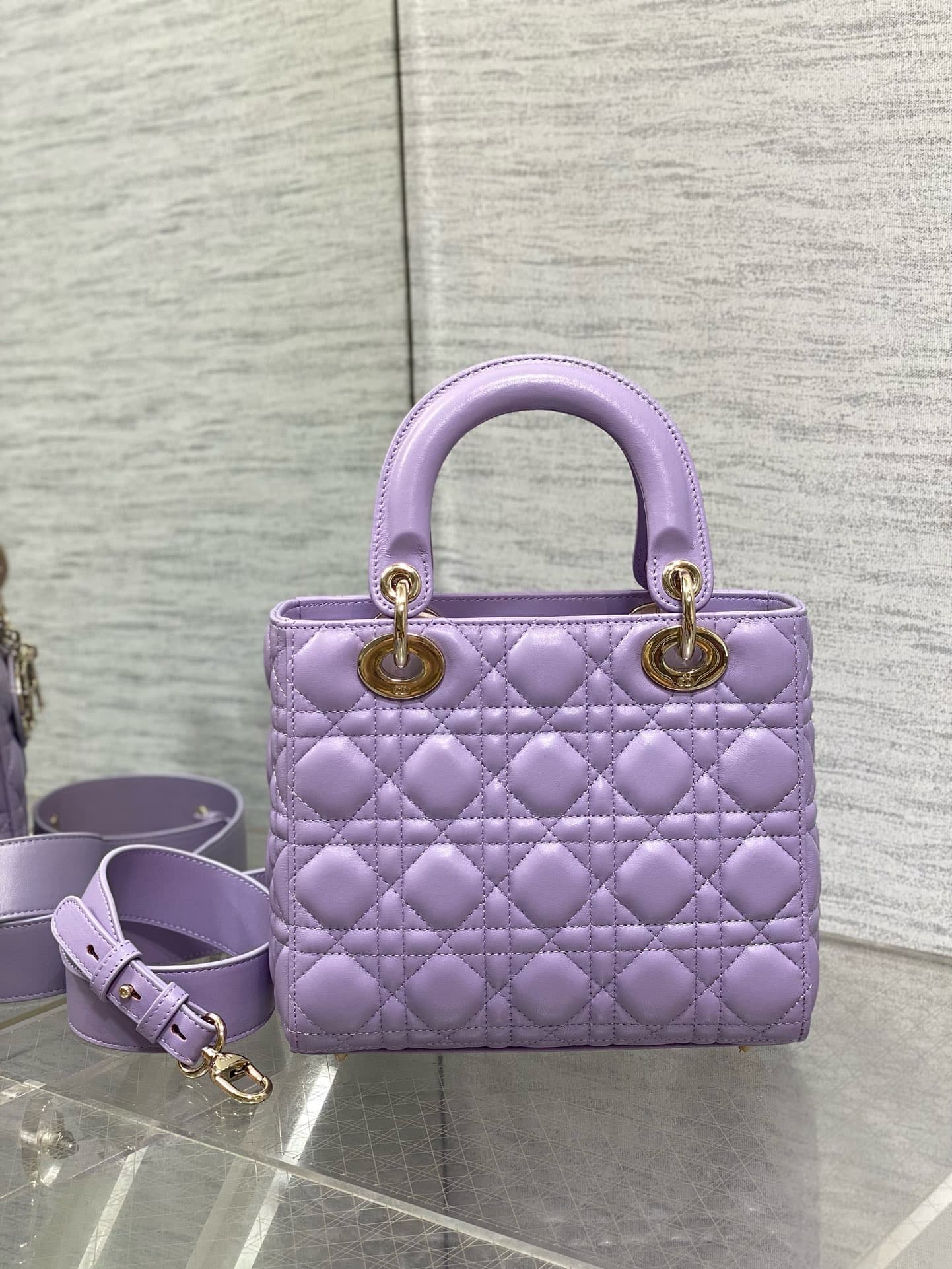 Dior Lady HandBag