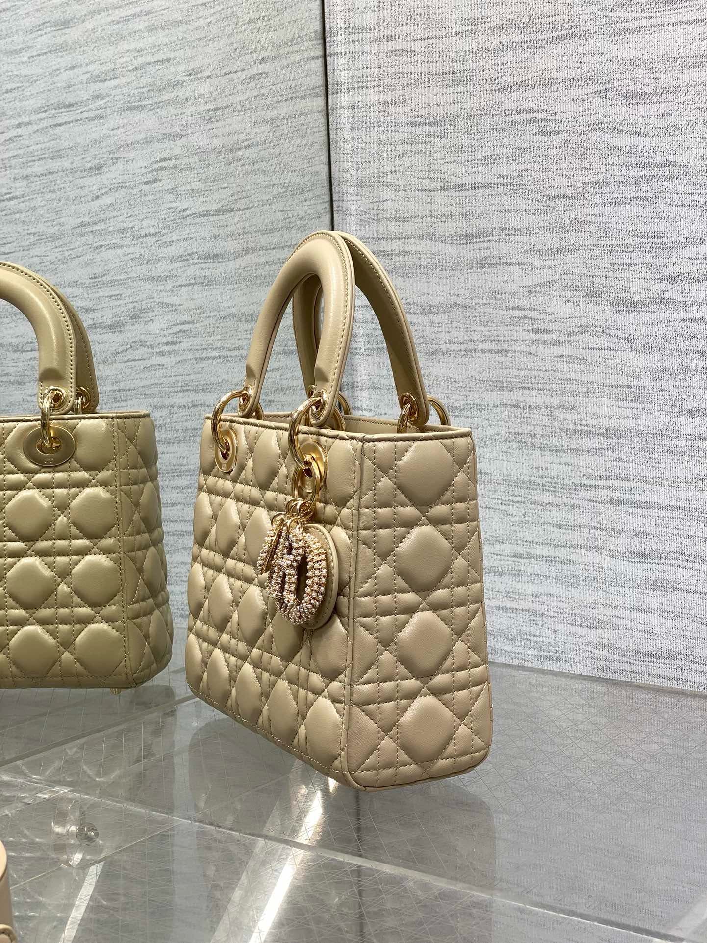 Dior Lady HandBag