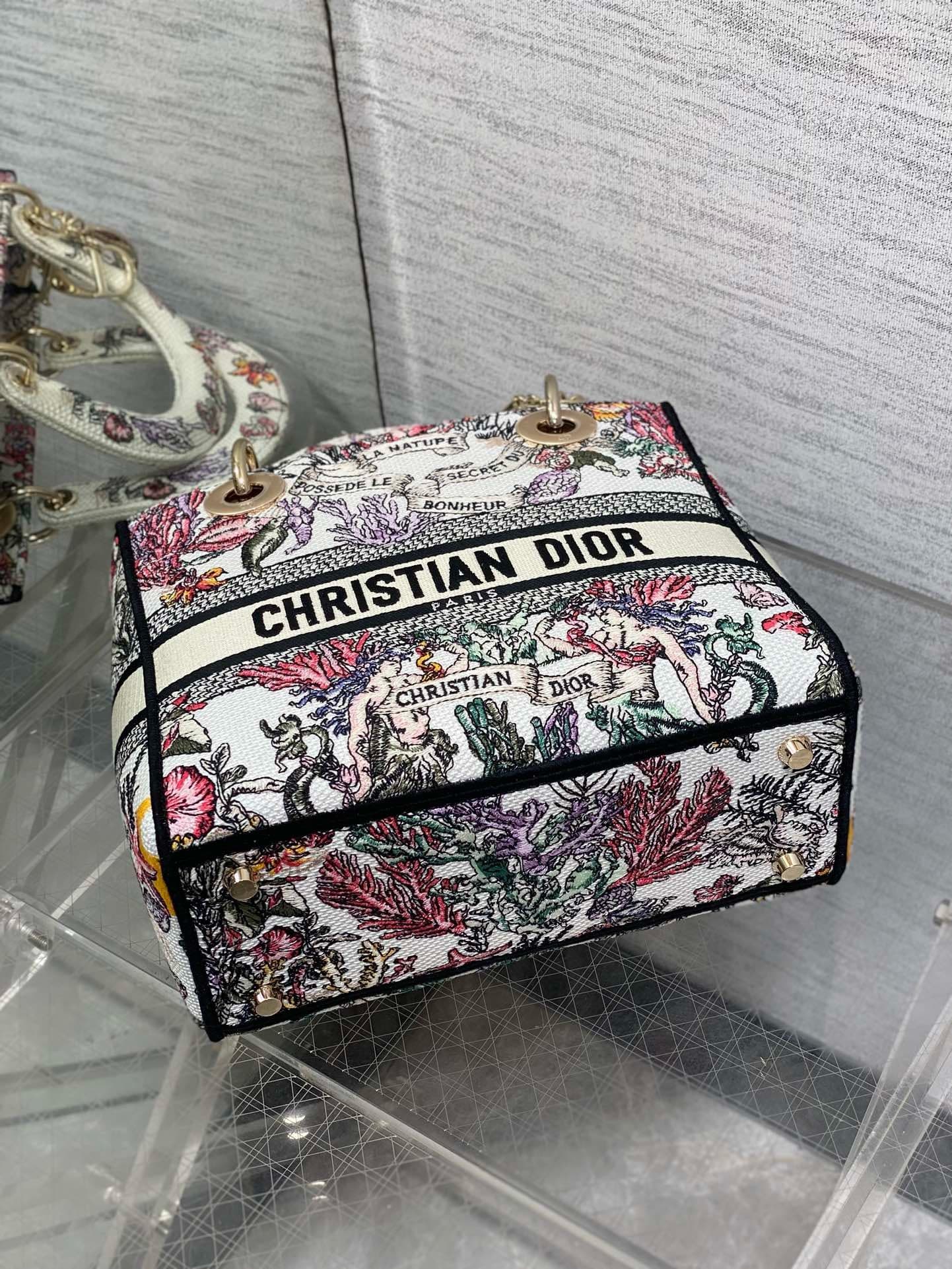 Dior Lady HandBag