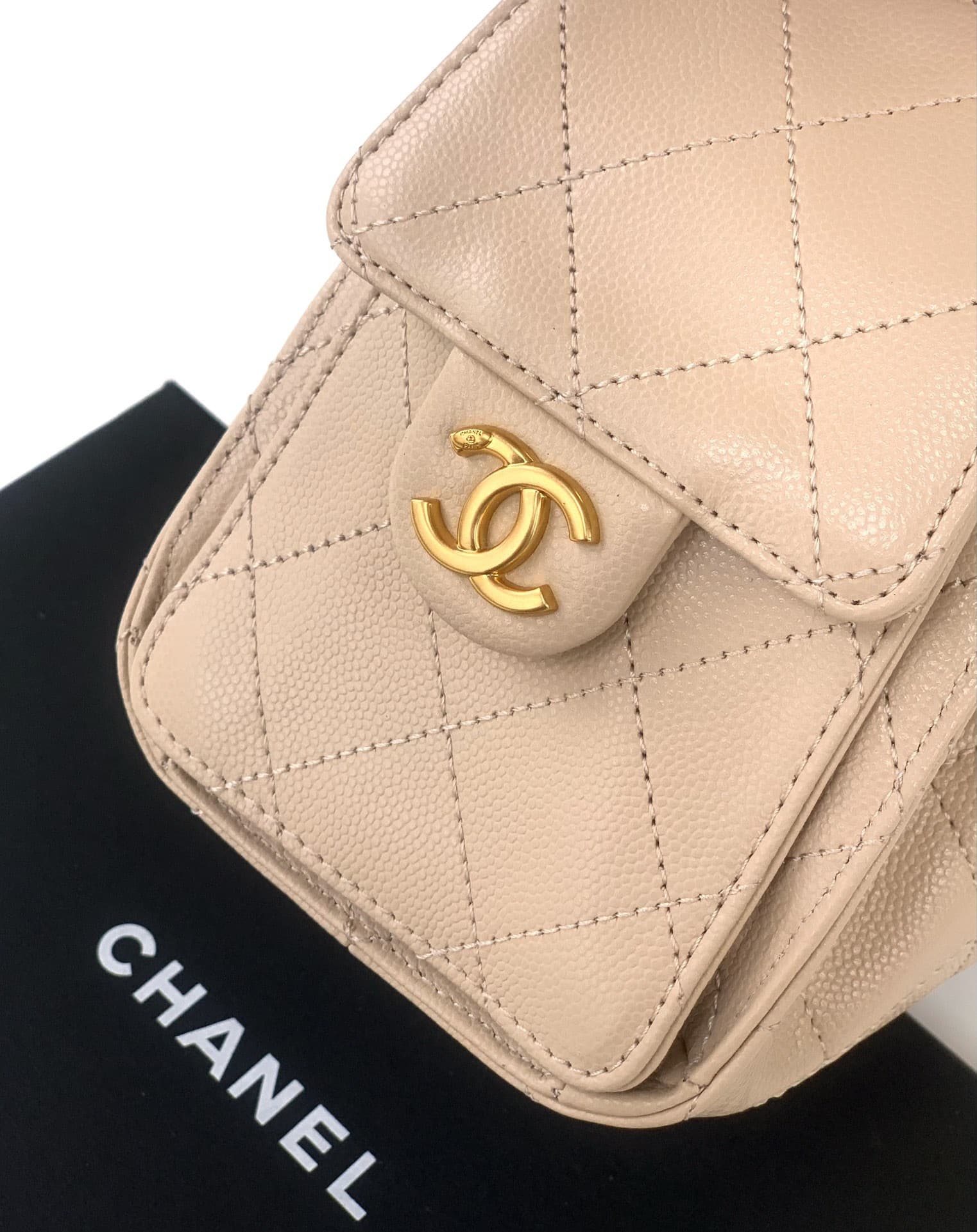Chanel 25 Bag AS5631