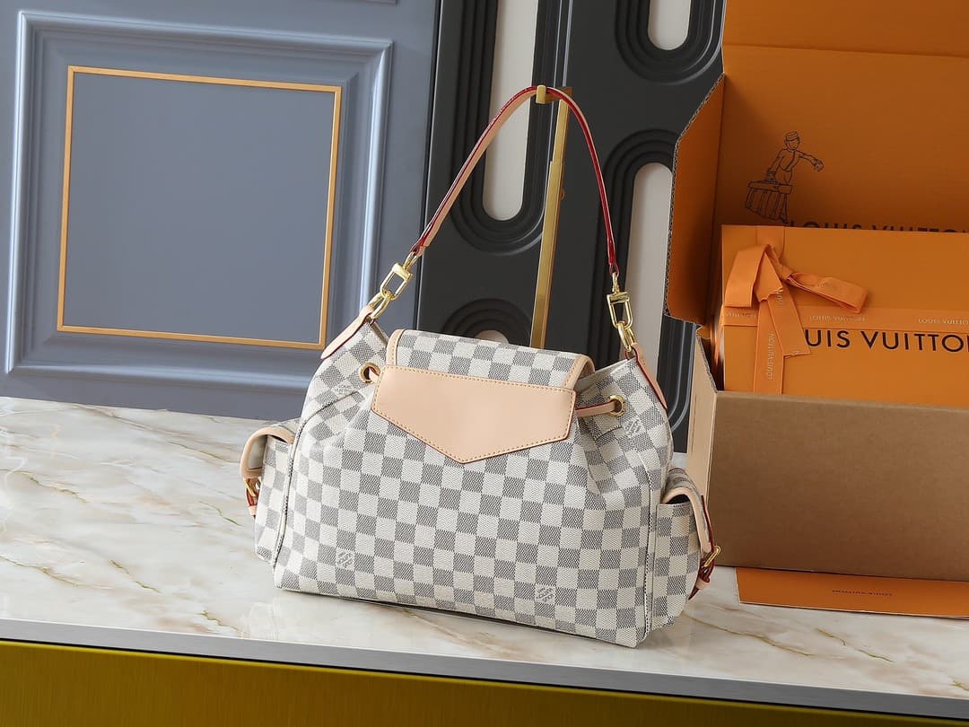 LV Bag M25085