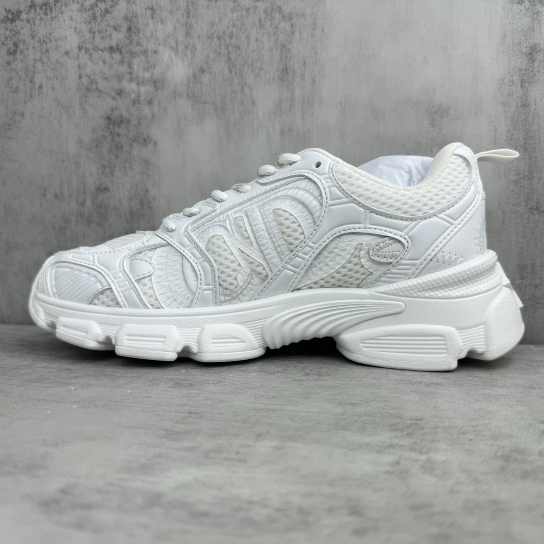 Dior Chrono Shoes