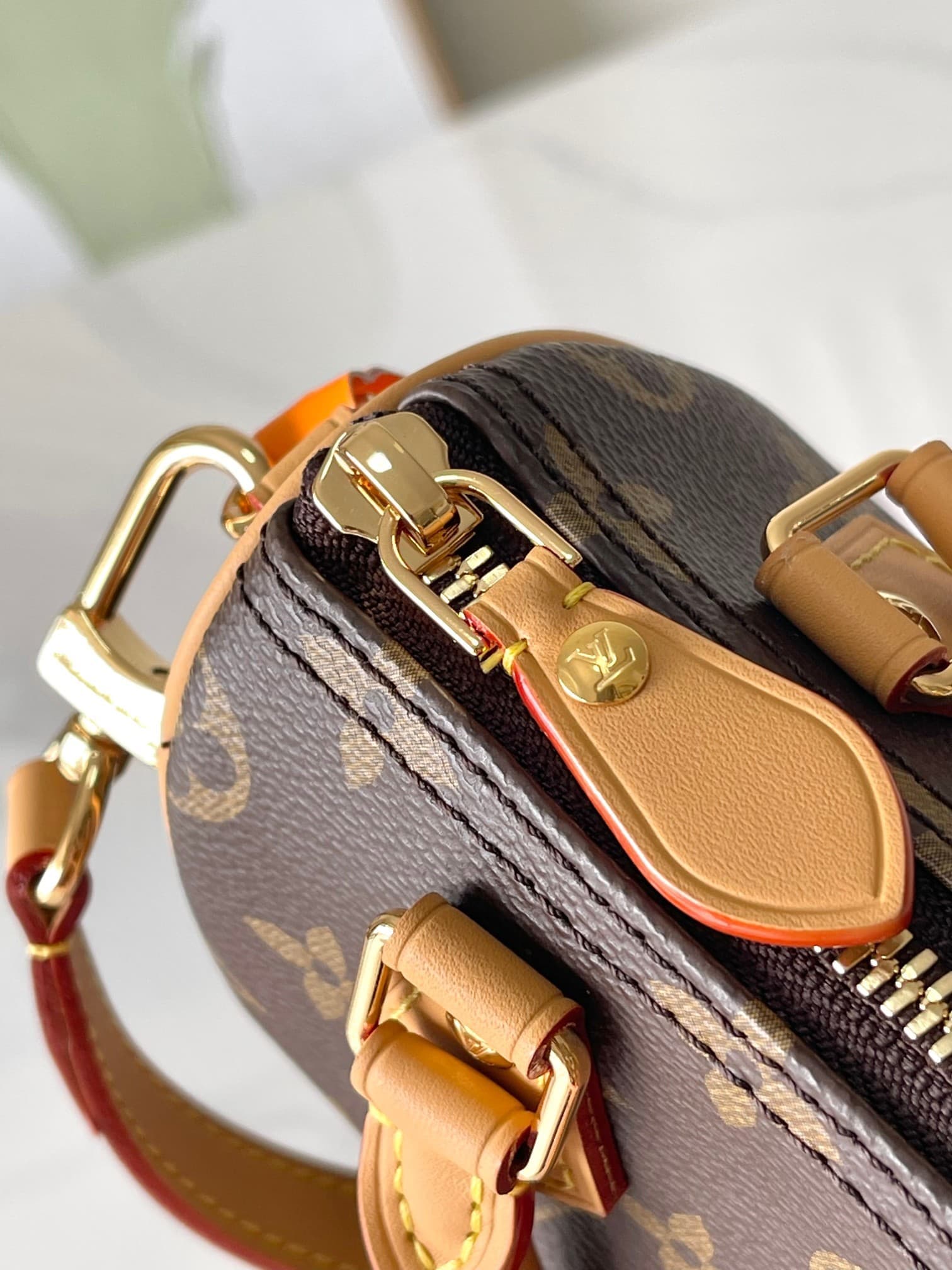 LV Bag M81085