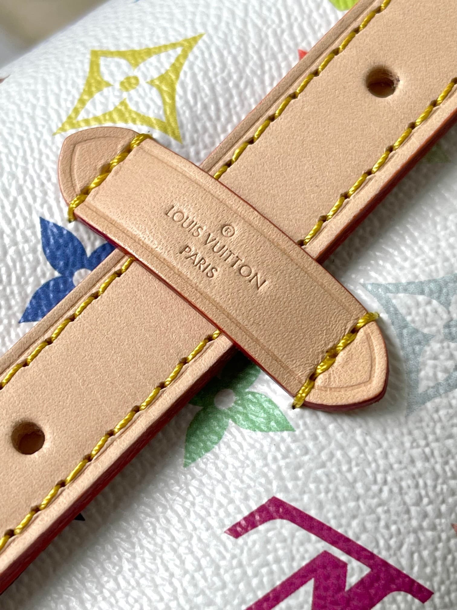 LV Bag M13661