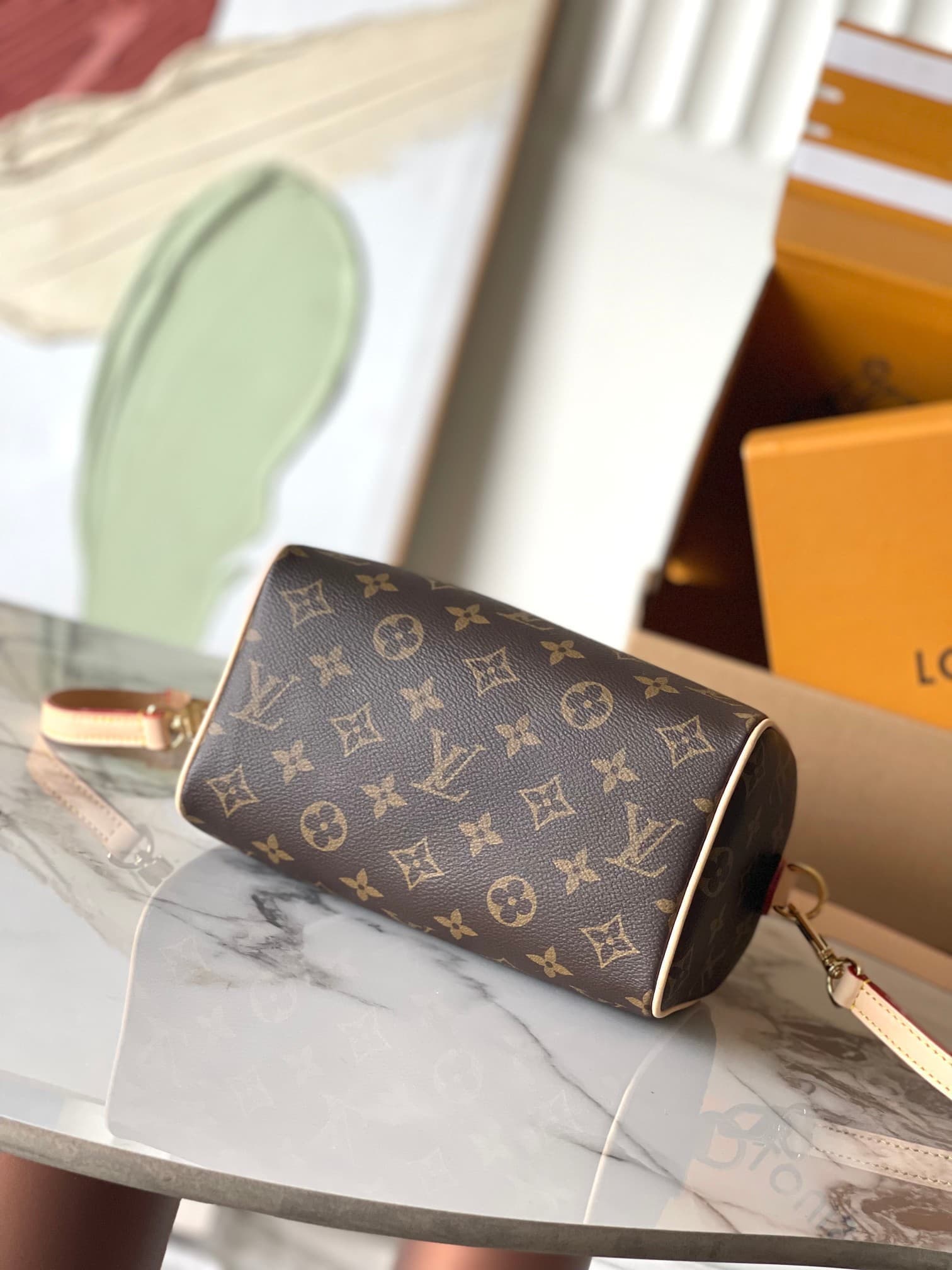LV Bag M46234
