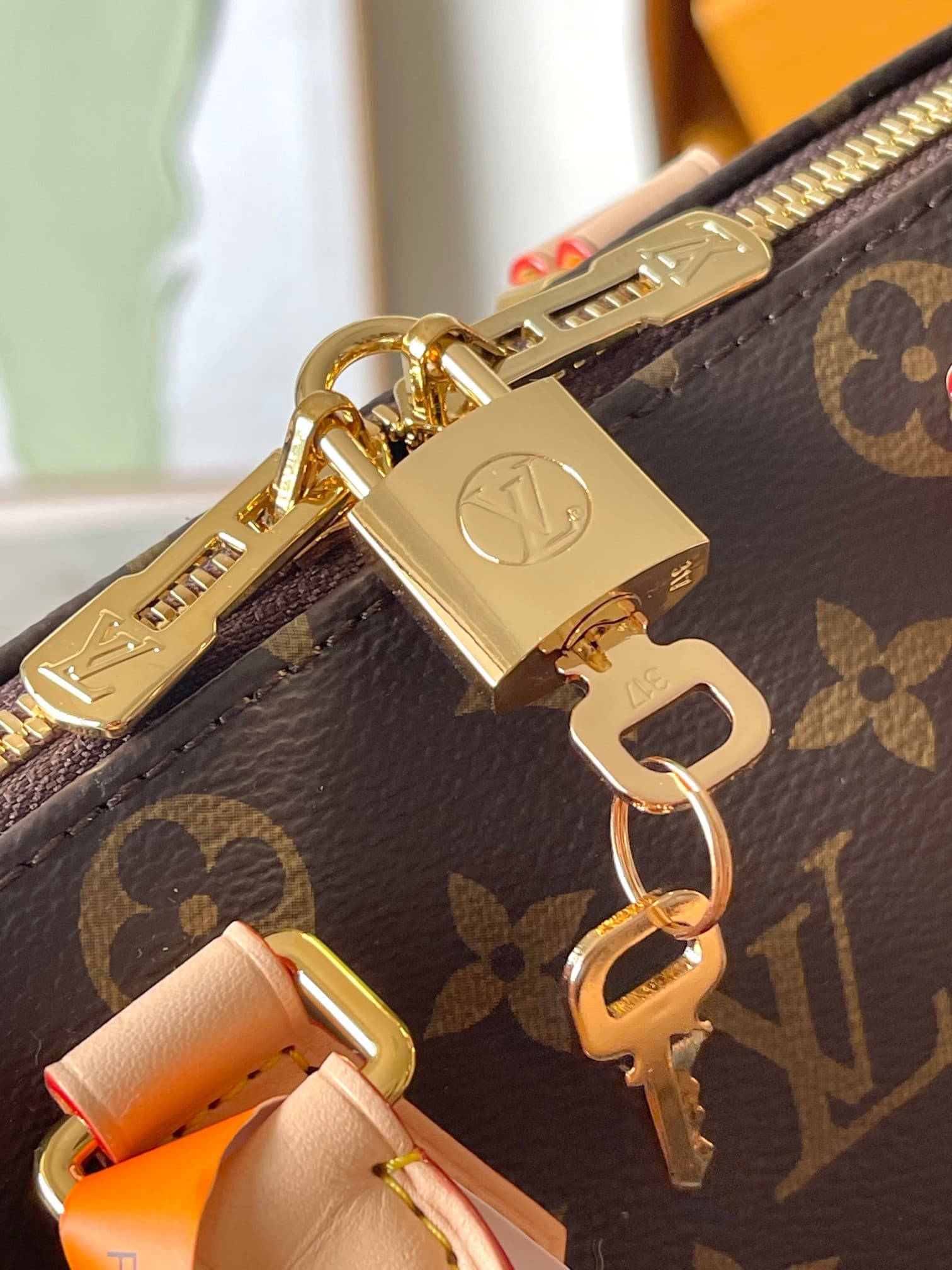 LV Bag M46234