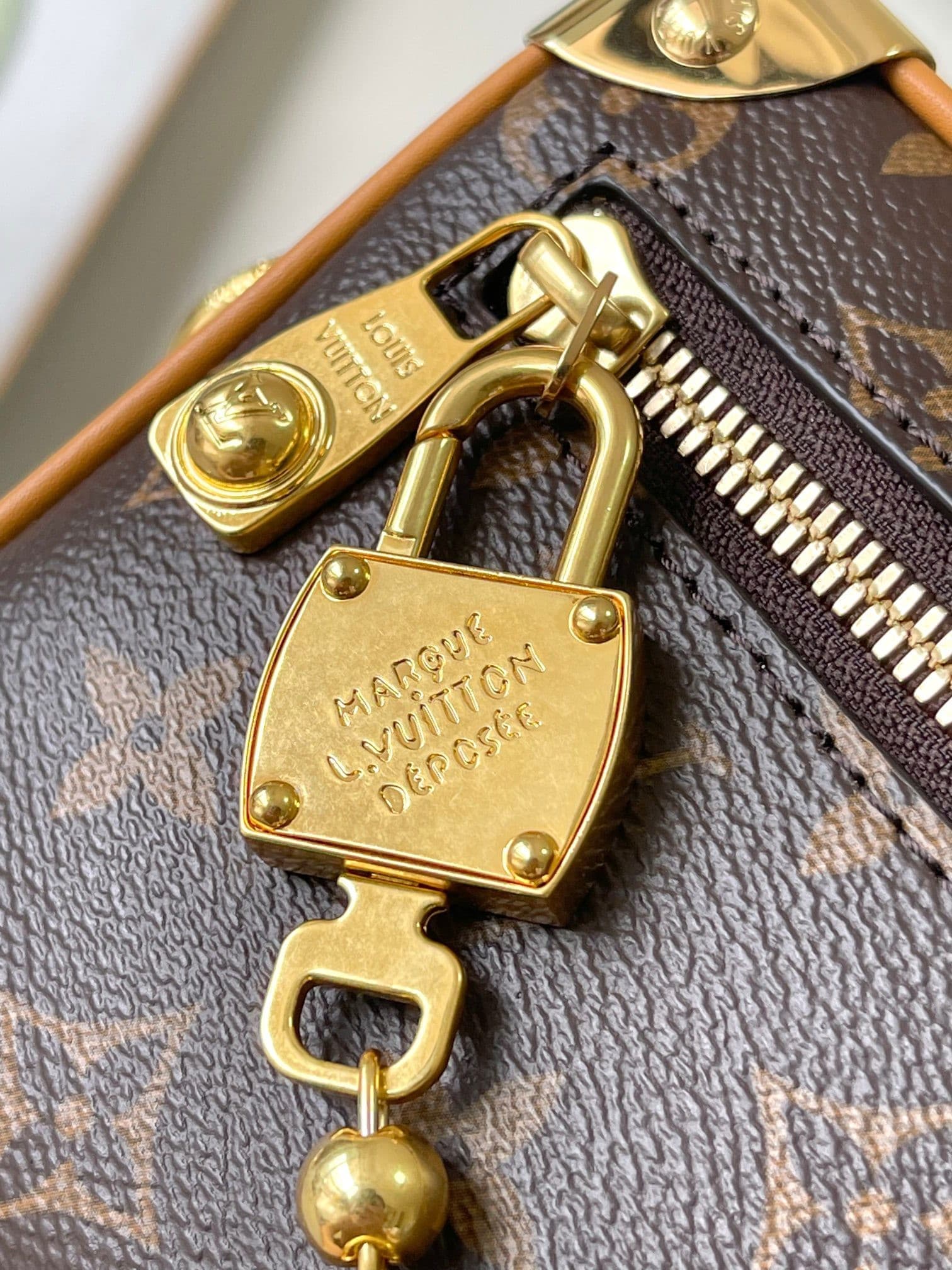 LV Bag M14279