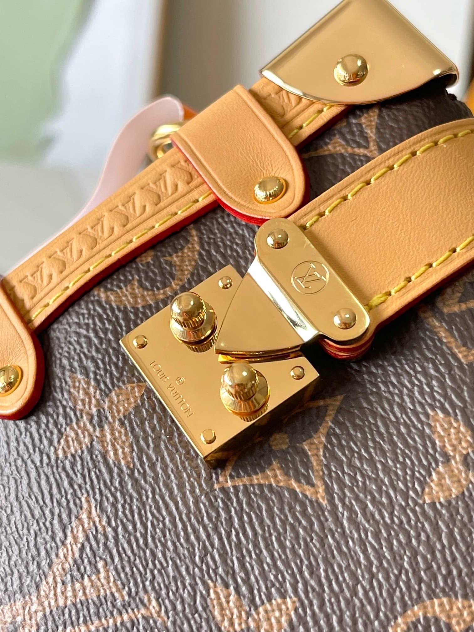 LV Bag M46815