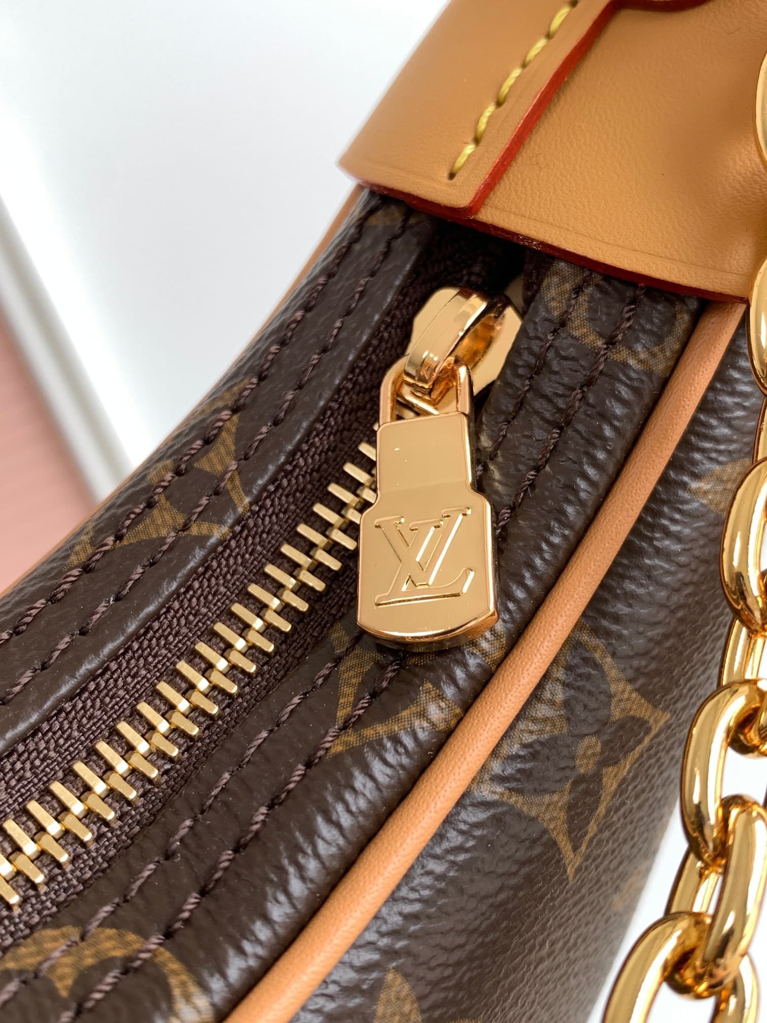 LV Bag M81098