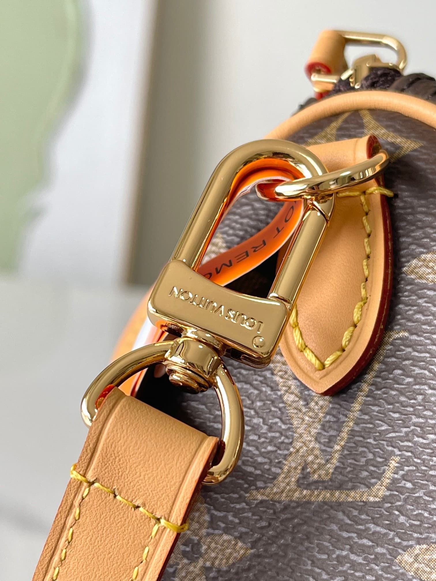 LV Bag M81085