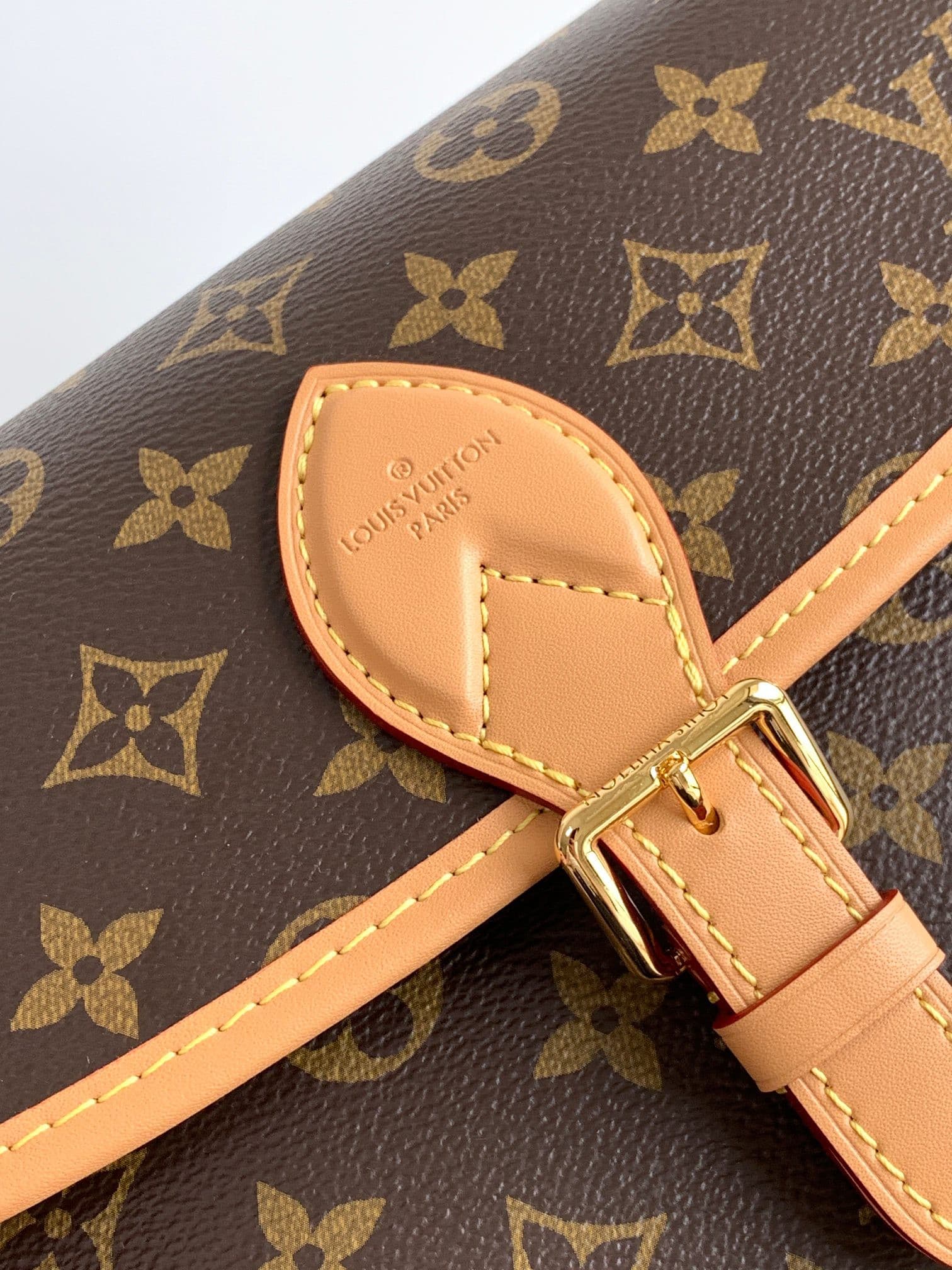 LV Bag M45985
