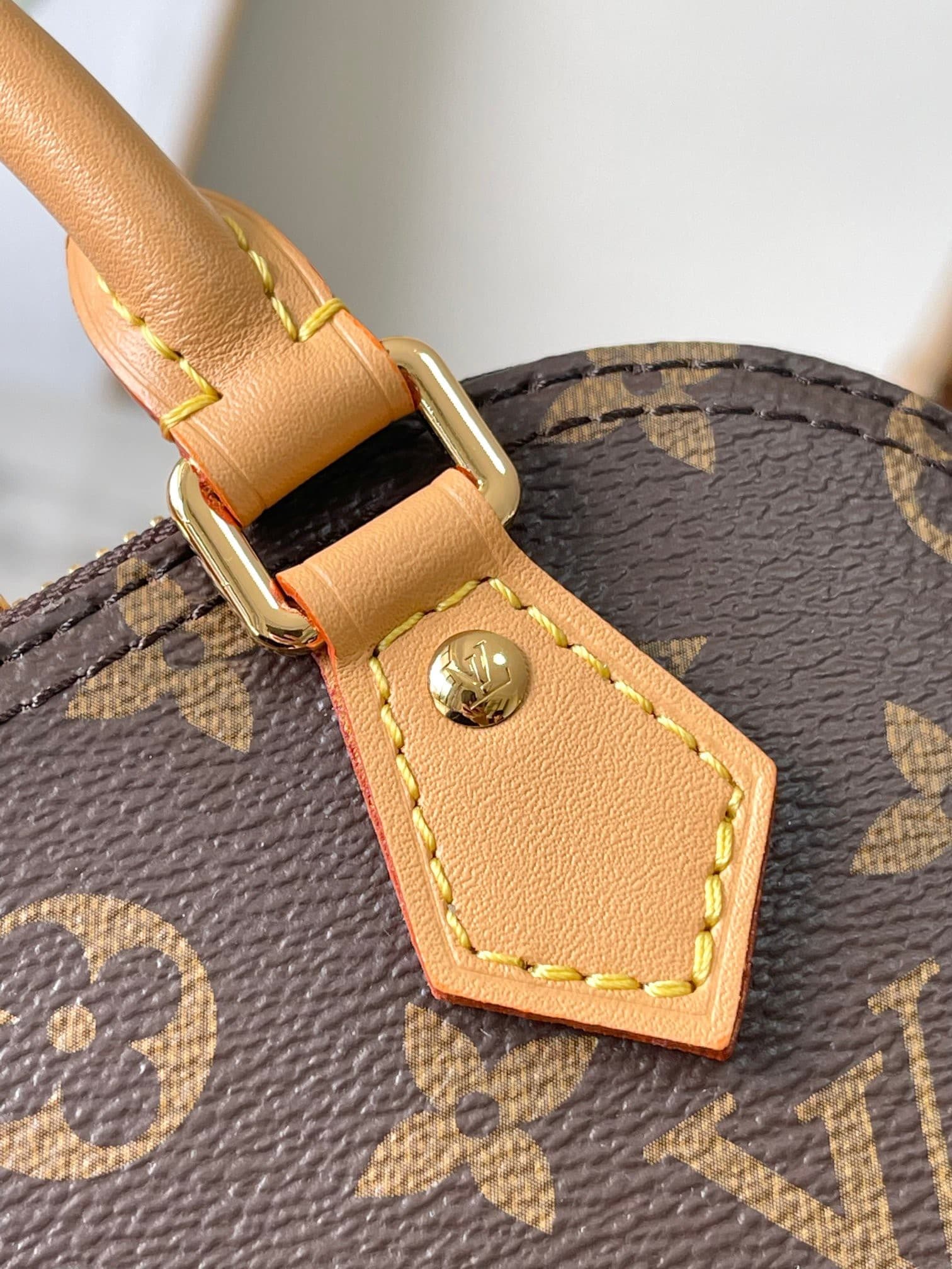 LV Bag M82717