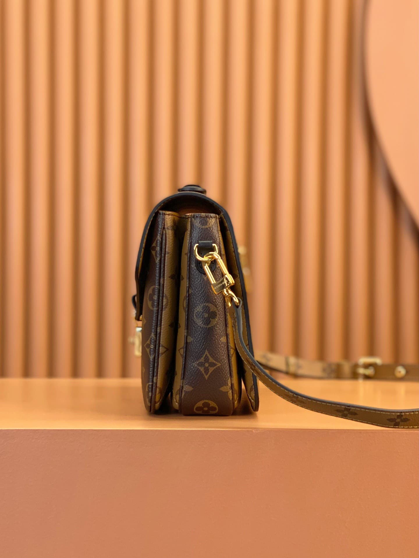 LV Bag M44876