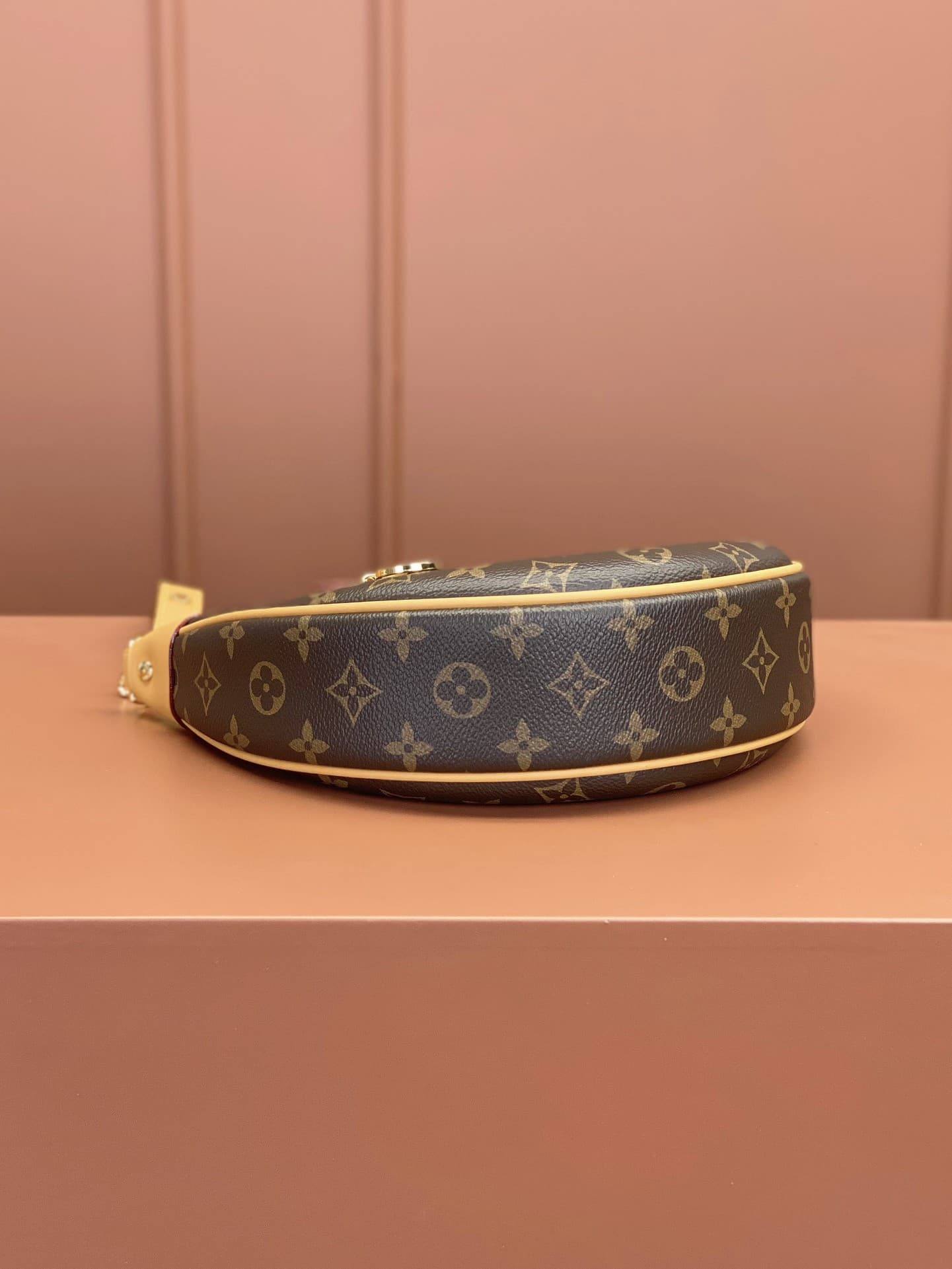 LV Bag M81098