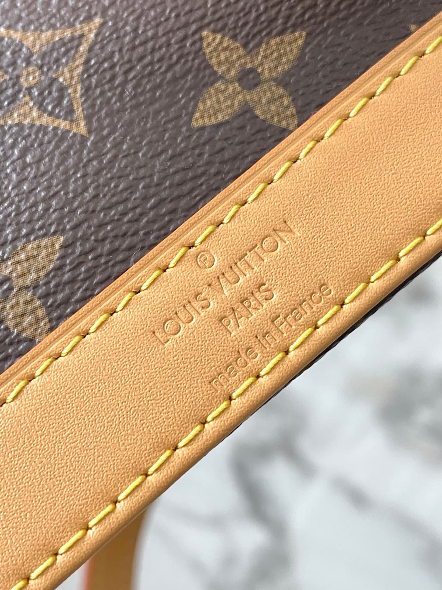 LV Bag M82717