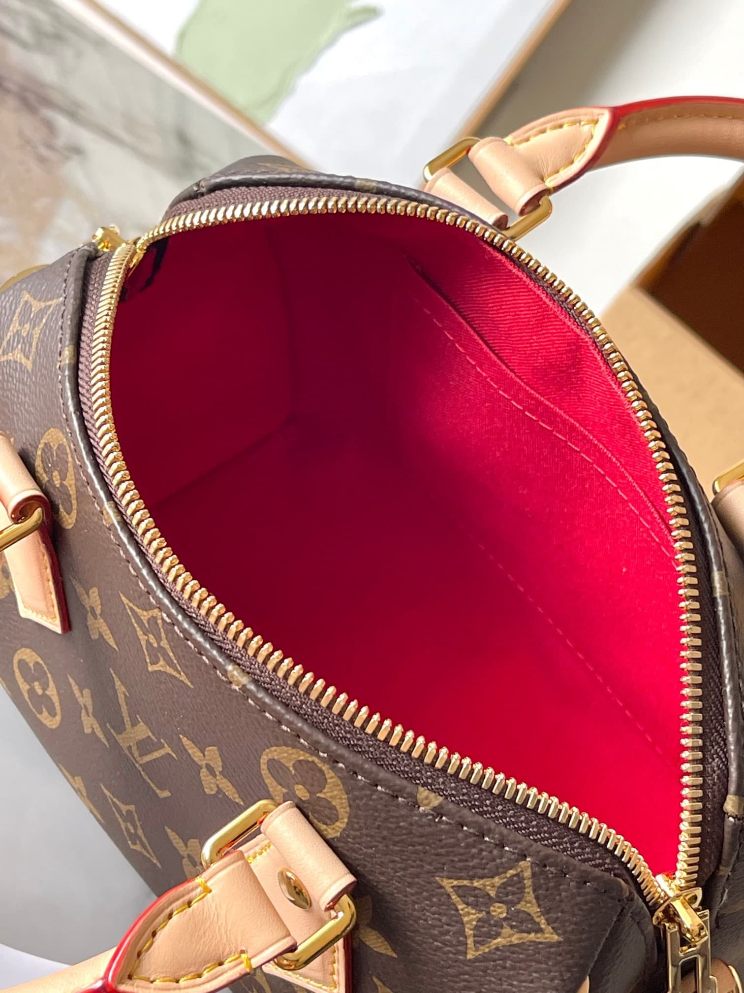 LV Bag M46234