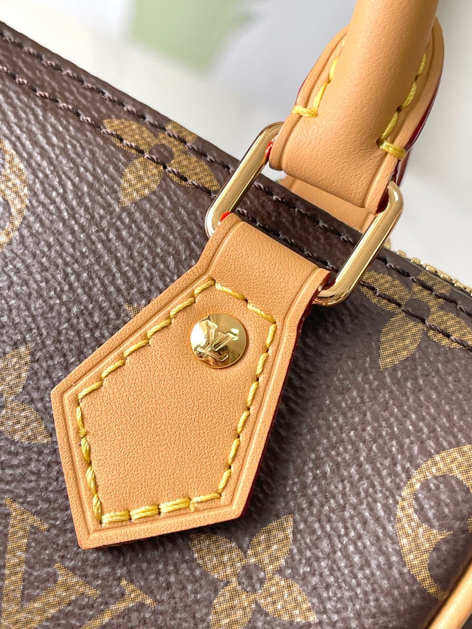 LV Bag M81085