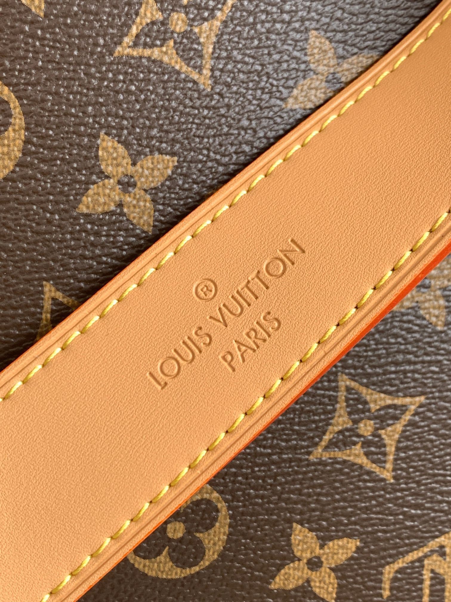 LV Bag M46197