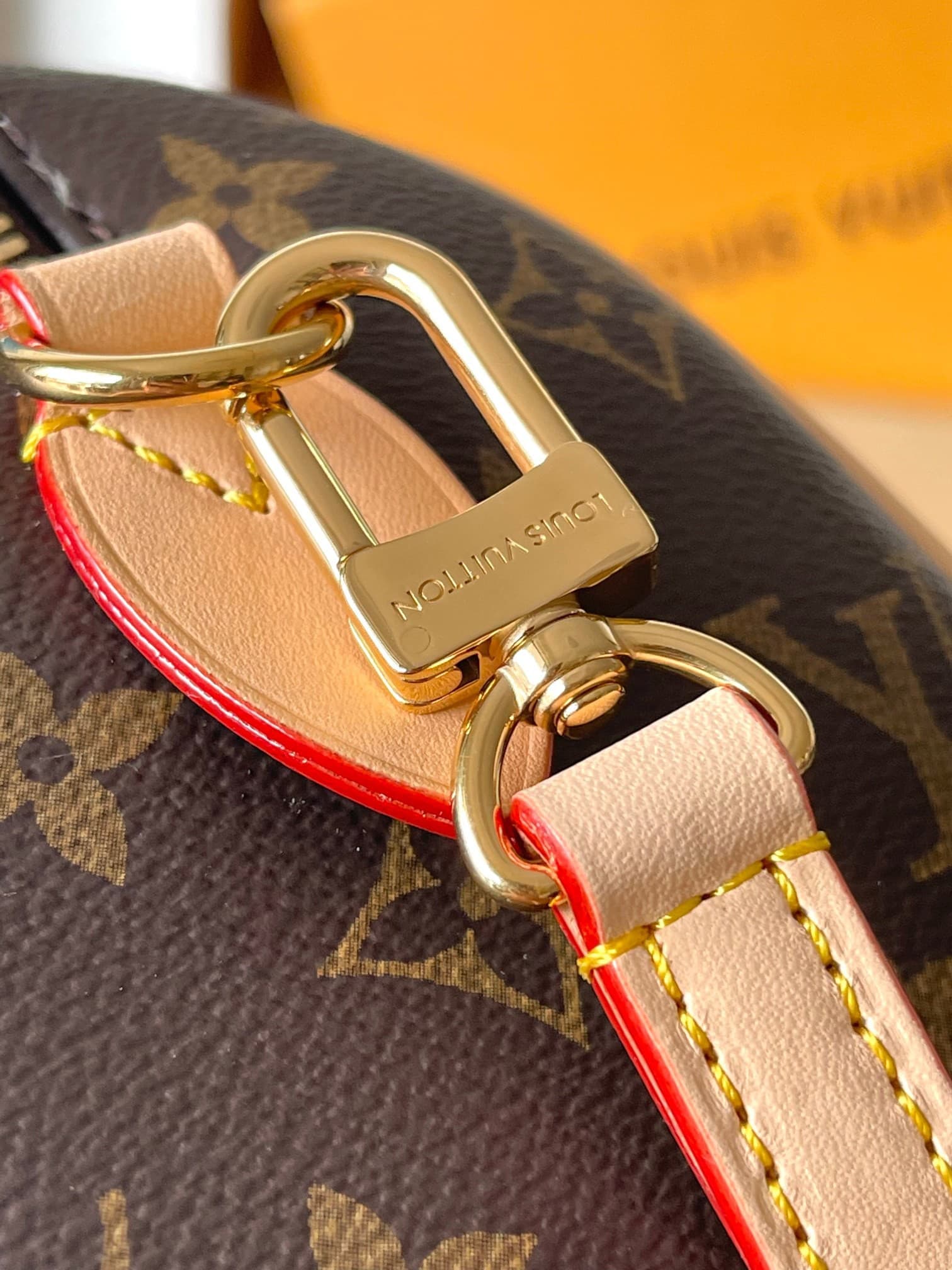 LV Bag M46234