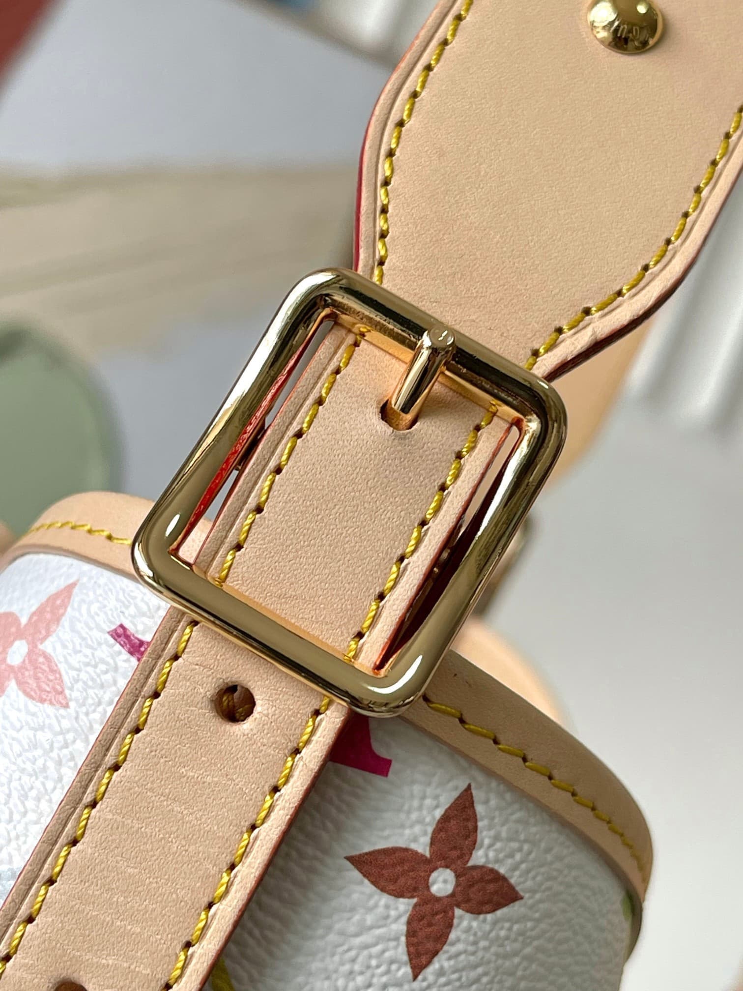 LV Bag M13661
