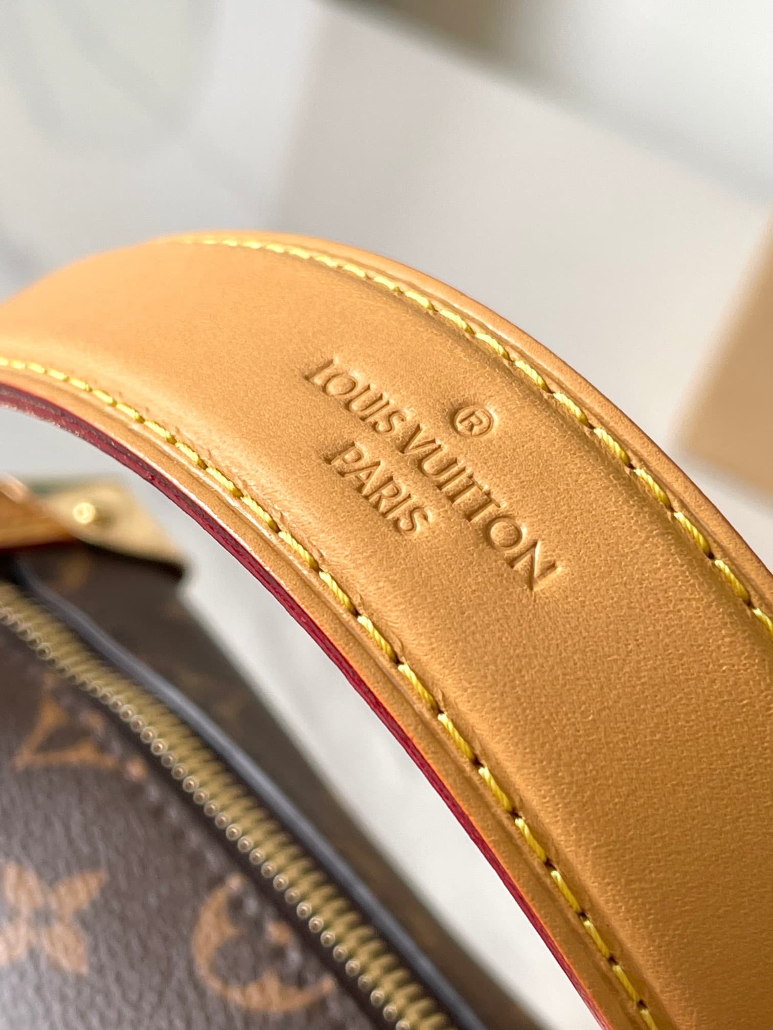 LV Bag M46815