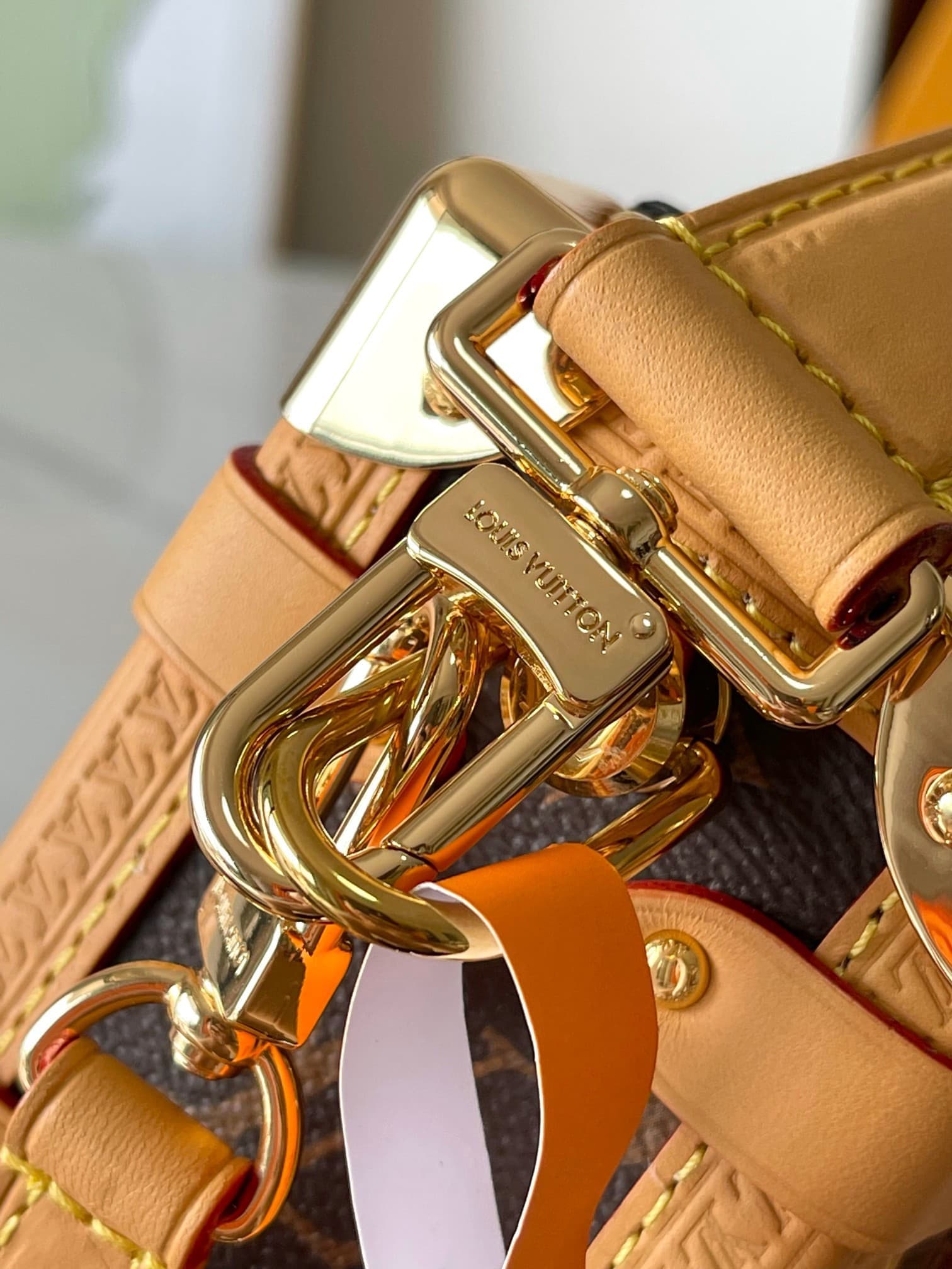 LV Bag M46815