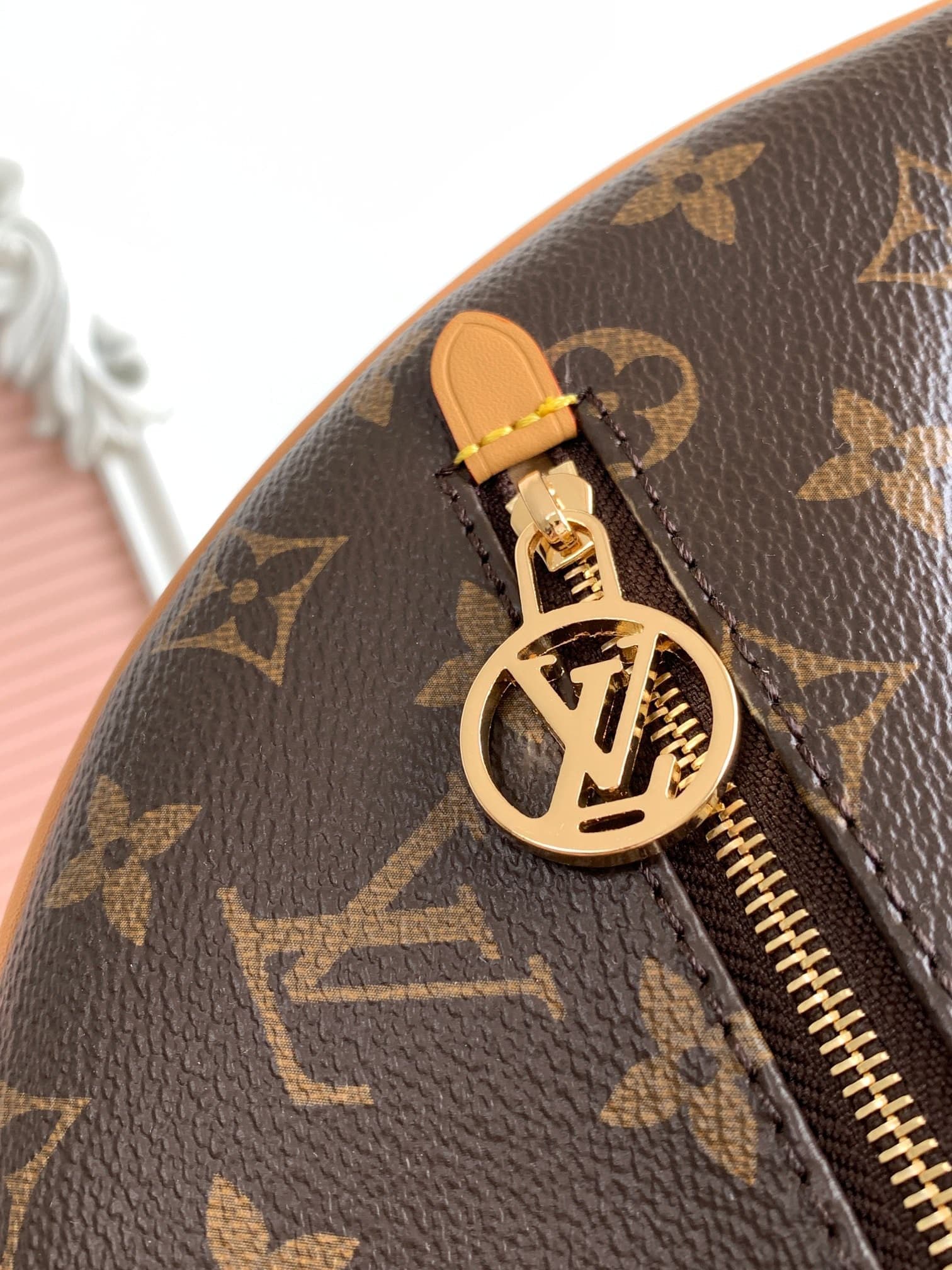 LV Bag M81098