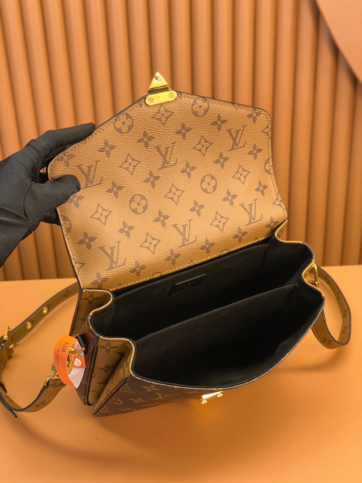 LV Bag M44876