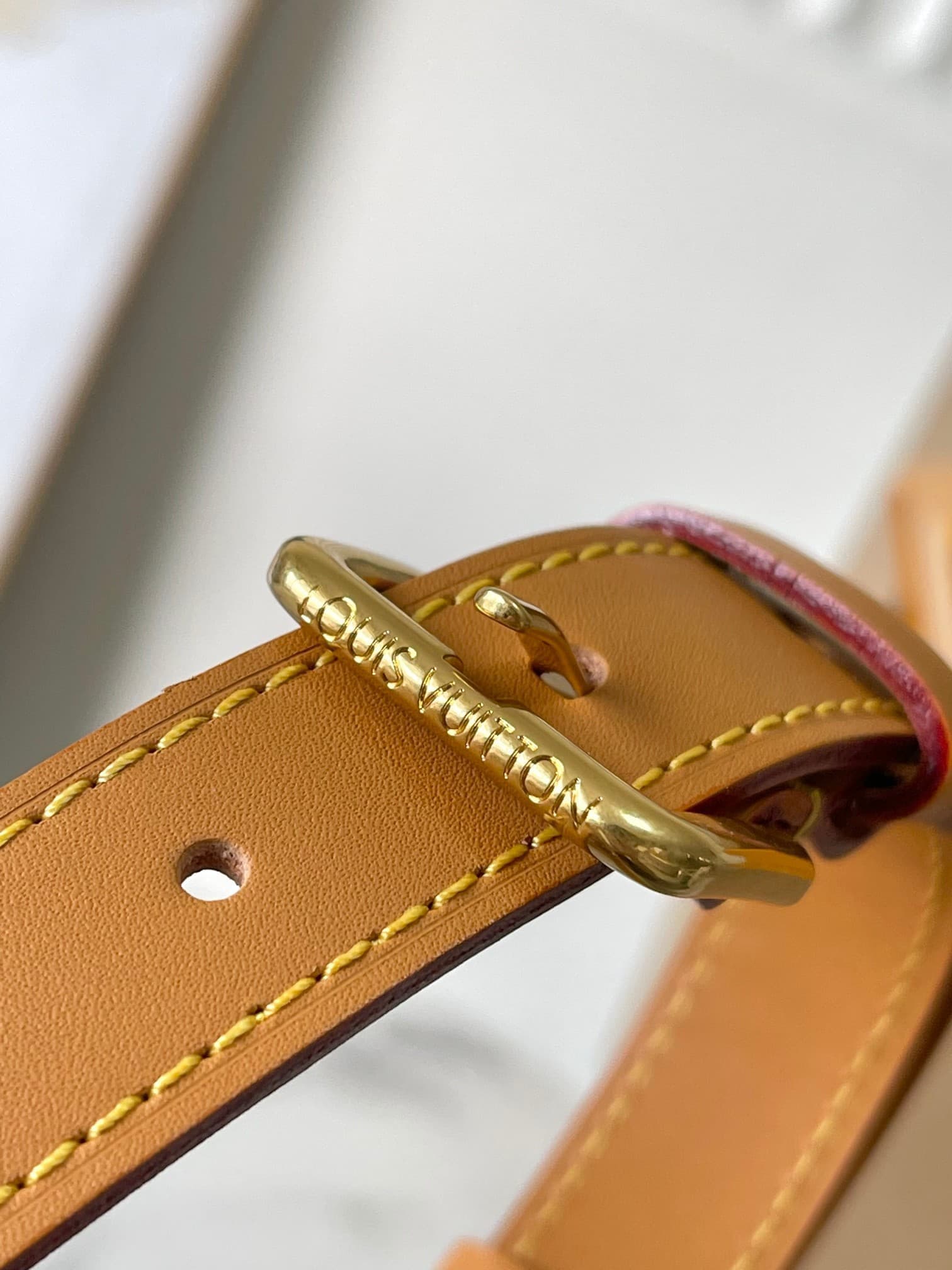 LV Bag M14279