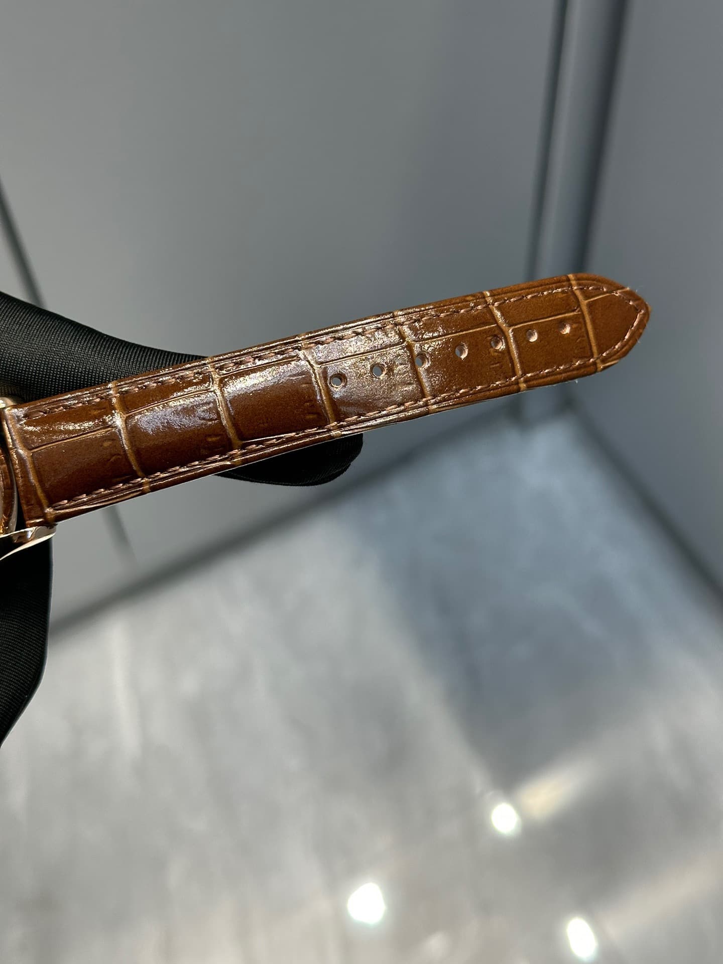 Patek Philippe Grand Compications Watch